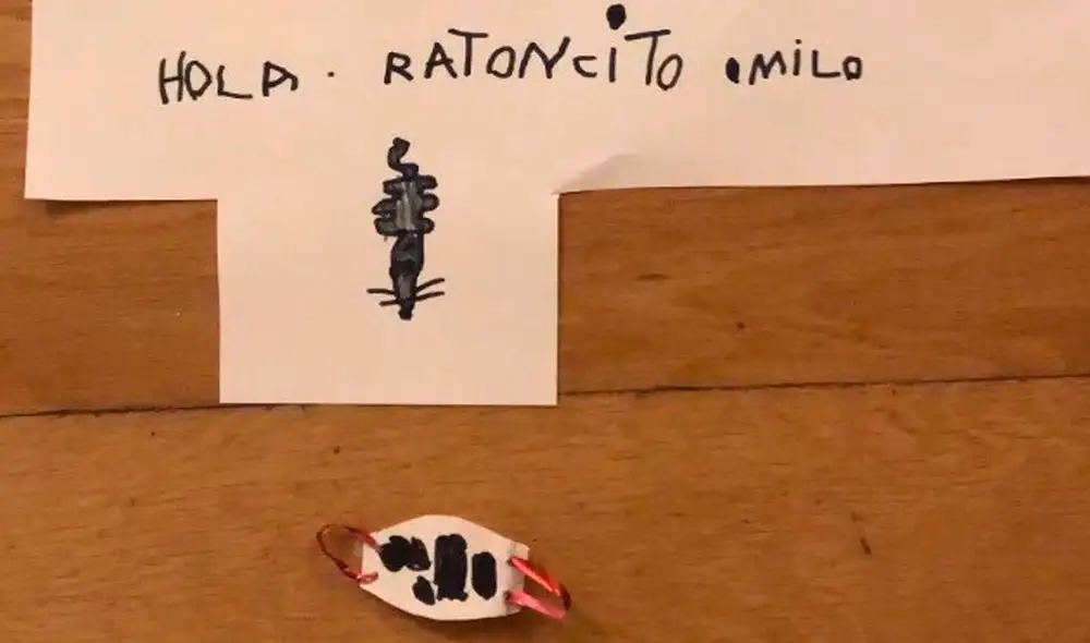 El niño se contagió de COVID-19 y quiso proteger al ratón de los dientes fabricándole una mascarilla. Foto: captura de Facebook