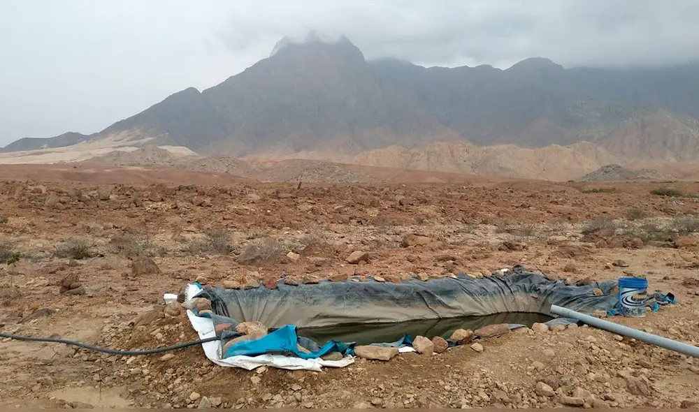 Hecho fue reportado el pasado 25 de enero. Foto: Patty Silva Hecho fue reportado el pasado 25 de enero. Foto: Patty Silva