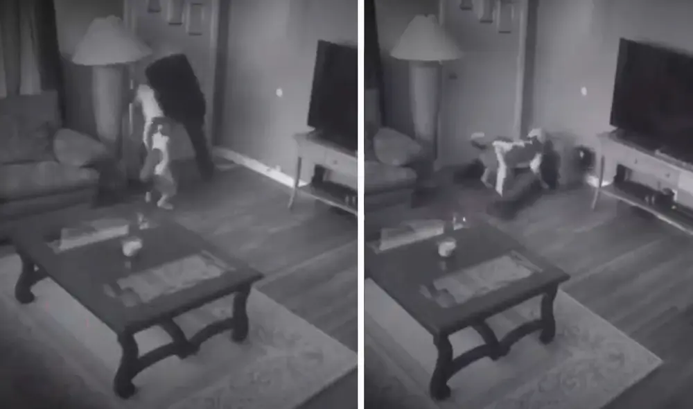 El furioso animal comenzó a morder al hombre que estaba en el piso cubriéndose con sus brazos el rostro y la cabeza. Foto: captura de YouTube