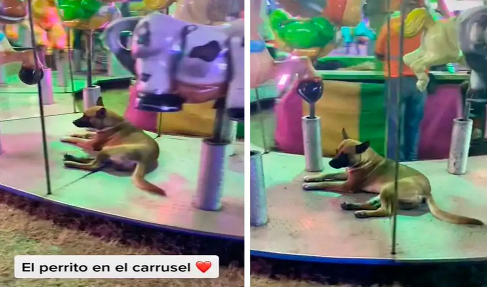 Una joven acudió a una feria para divertirse con su familia; sin embargo, no imaginó que iba a encontrar a un animal en los juegos mecánicos. Foto: captura de YouTube Una joven acudió a una feria para divertirse con su familia; sin embargo, no imaginó que iba a encontrar a un animal en los juegos mecánicos. Foto: captura de YouTube