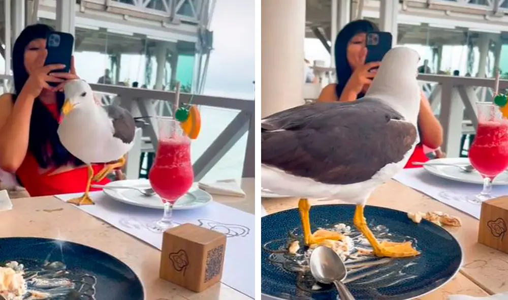 Unas jóvenes acudieron a un conocido restaurante de Lima, pero jamás imaginaron que iban a tener un inesperado acompañante. Foto: captura de Facebook