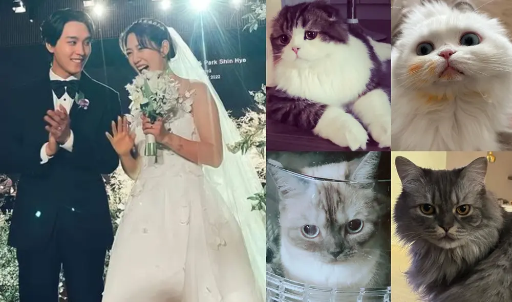 Los actores Choi Tae Joon y Park Shin Hye celebraron su matrimonio y se encuentran a la espera de su primer hijo. Foto: composición La República/Instagram/@ssinz7 Los actores Choi Tae Joon y Park Shin Hye celebraron su matrimonio y se encuentran a la espera de su primer hijo. Foto: composición La República/Instagram/@ssinz7