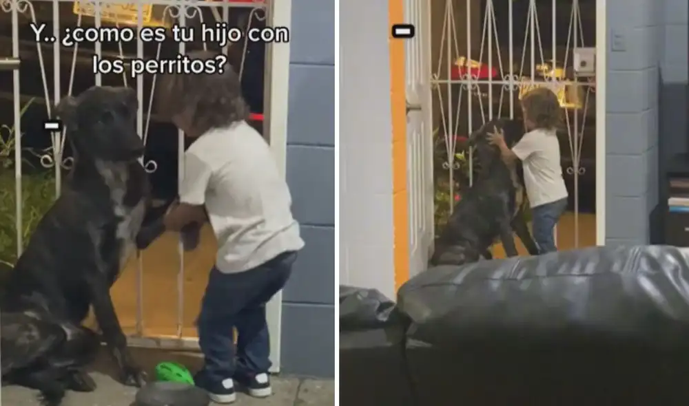 Este divertido clip cuenta con más de 150.000 likes en la red social. Foto: captura de TikTok Este divertido clip cuenta con más de 150.000 likes en la red social. Foto: captura de TikTok