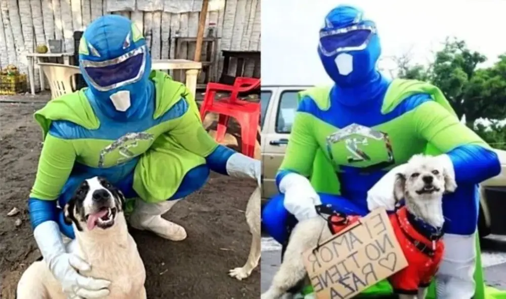 Zadrigman, el superhéroe que rescata a animalitos abandonados y les consigue un hogar. Foto: captura de YouTube.