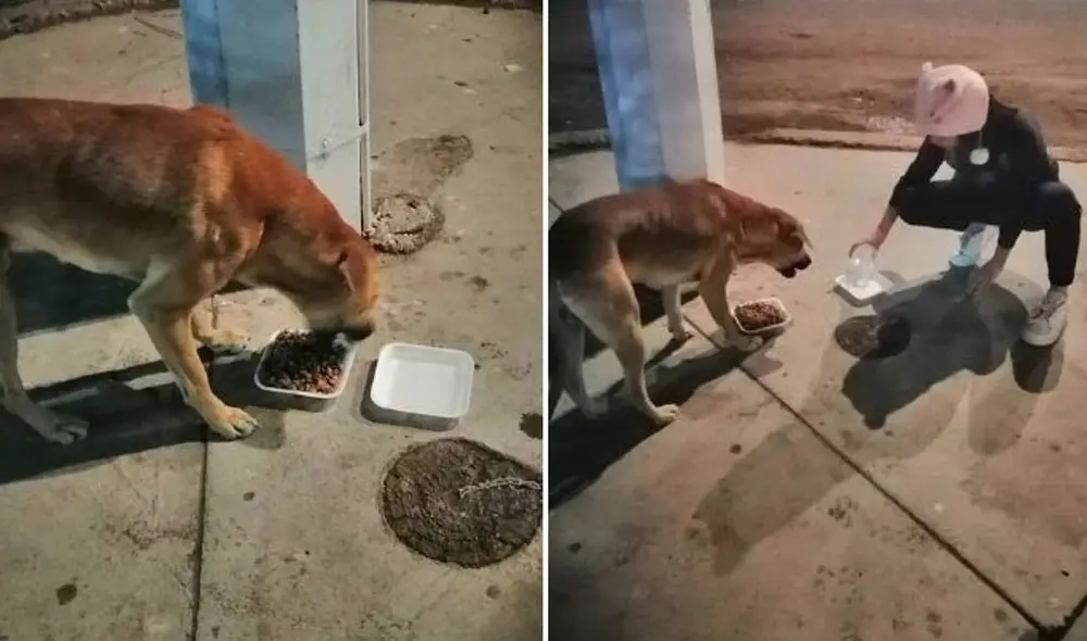 La noble acción de esta pequeña ha cautivado a miles de usuarios en las redes sociales. Foto: captura de Facebook