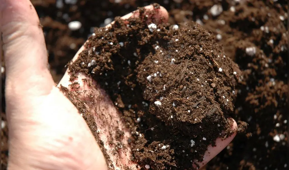 Urea y fosfatos iniciaron a la baja este 2022. Brasil cierra el 2021 marcando un récord de importaciones: 7,8 millones de toneladas. Foto: difusión Urea y fosfatos iniciaron a la baja este 2022. Brasil cierra el 2021 marcando un récord de importaciones: 7,8 millones de toneladas. Foto: difusión