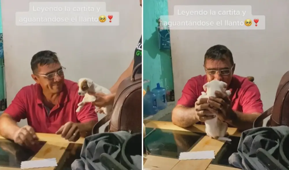 Esta conmovedora historia tocó el corazón de una gran cantidad de usuarios en las redes sociales. Foto: captura de TikTok