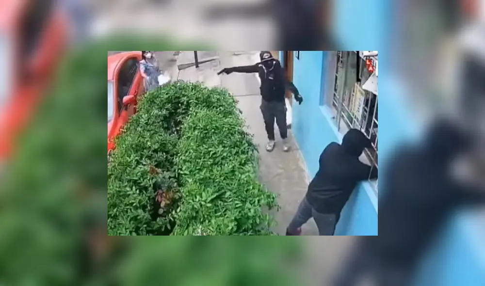 Hampón metió la mano por ventana de la bodega para agarrar billetera de mujer. Foto: captura video Bajo la lupa