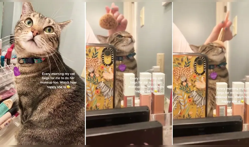 La escena consiguió más de 96.000 ‘me gusta’. Foto: captura de TikTok