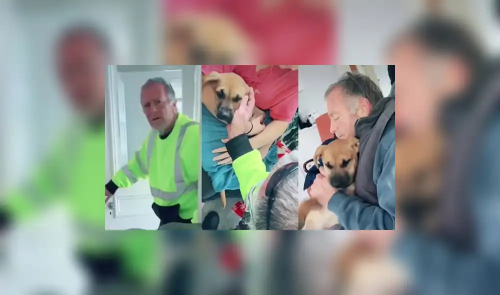 El clip acumula más de 9 millones de reproducciones en TikTok. Foto: captura de TikTok