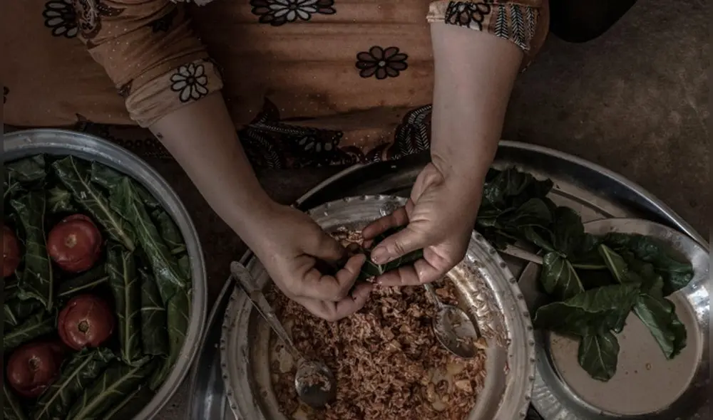 Hambre en el mundo. Etiopía, Nigeria, Sudán del Sur y Yemen siguen siendo los países con el nivel de alerta alimentaria más alto, mientras que en América Latina lo son Haití, Honduras y Colombia. Foto: FAO Hambre en el mundo. Etiopía, Nigeria, Sudán del Sur y Yemen siguen siendo los países con el nivel de alerta alimentaria más alto, mientras que en América Latina lo son Haití, Honduras y Colombia. Foto: FAO