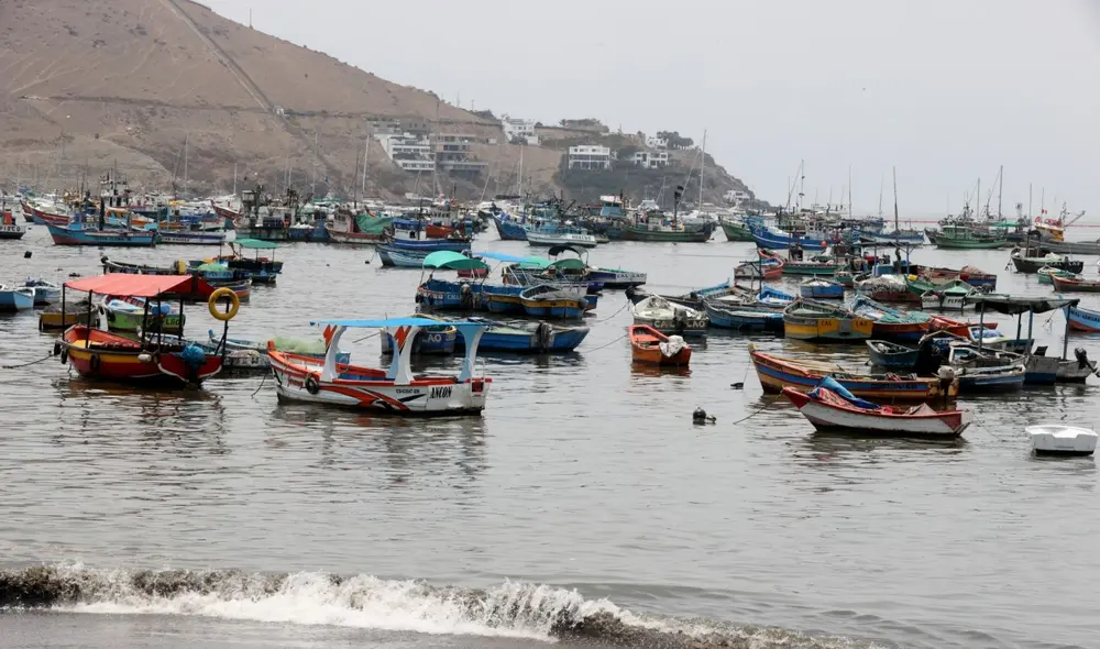 Repsol también informó que ha mantenido en las últimas horas otros encuentros con representantes de colectivos afectados. Foto: Andina Repsol también informó que ha mantenido en las últimas horas otros encuentros con representantes de colectivos afectados. Foto: Andina