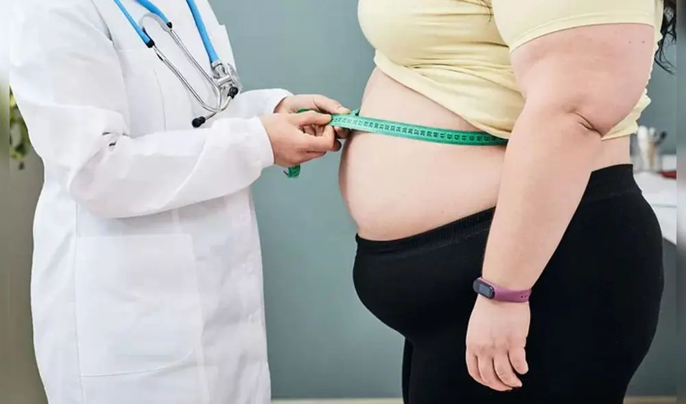 El experimento en ratones ha demostrado que han perdido 40 % de grasa subcutánea, a pesar de tener una dieta alta en grasas. Foto: La Voz de Galicia