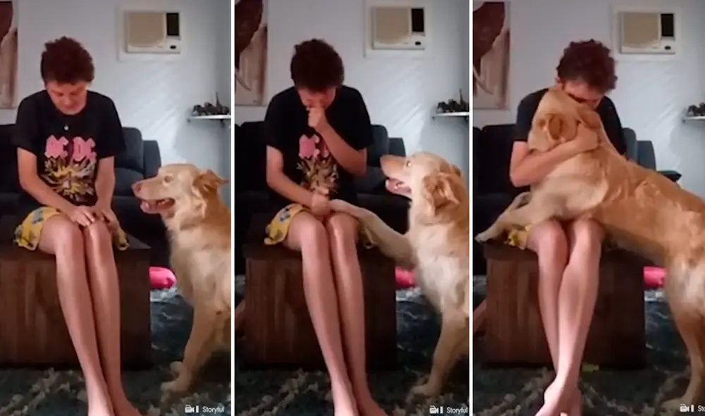 El video ha asombrado a miles de personas por el entrenamiento del animal para determinadas tareas. Foto: captura de Facebook