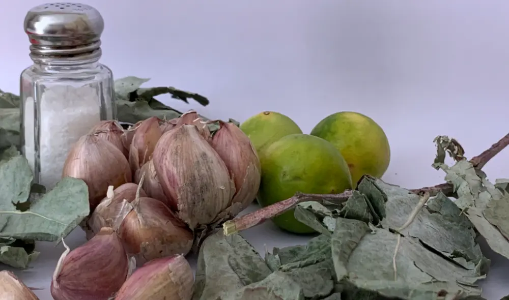 Los remedios caseros a base de plantas medicinales son una fuente de salud. Foto: Manuel Berríos / La República