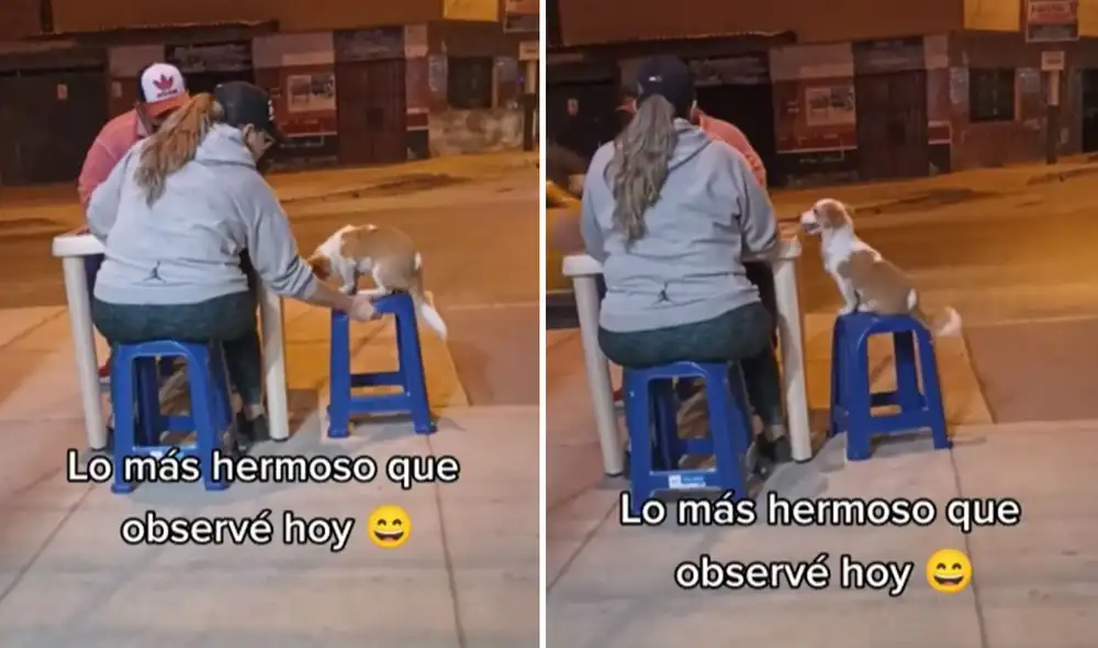 Esta emotiva escena ya es viral en las redes sociales. Foto: captura de TikTok