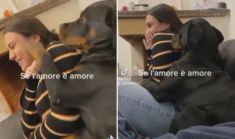 La tierna escena logró volverse tendencia en las redes sociales. Foto: captura de TikTok