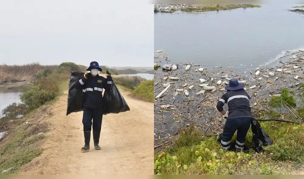 La municipalidad brindará equipos de protección personal a los colaboradores que participen de la jornada. Foto: composición LR/MPC