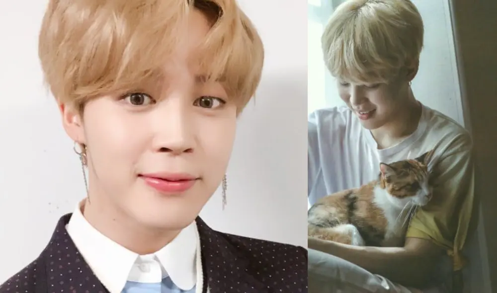 Jimin de BTS fue operado de emergencia de apendicitis y la dueña de la gata de "Serendipity" envió un tierno mensaje. Foto: composición La República/BIGHIT