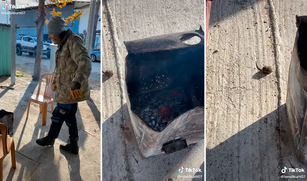 El ratón quiso calentar su pequeña anatomía parándose al costado de una lata que emanaba vapor. Foto: captura de TikTok