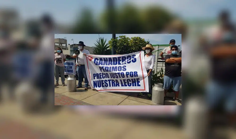 Ganaderos lecheros anuncian paro nacional. Foto: AGALEP