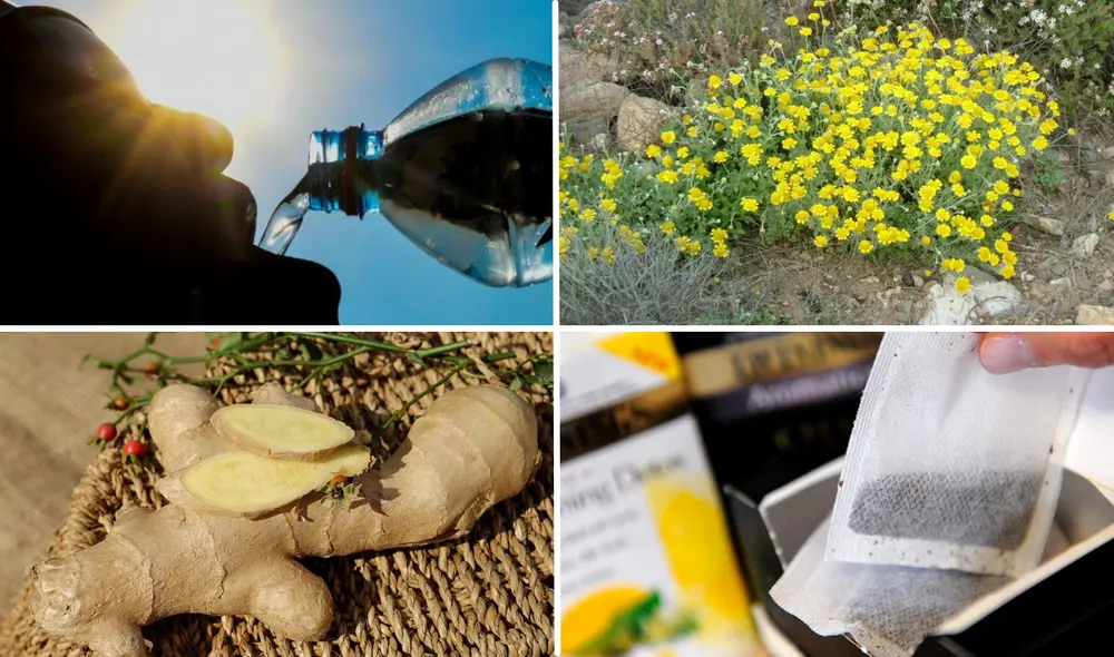 Desde el té de tila hasta los masajes, conoce en esta nota los mejores remedios para calmar el dolor de cabeza. Foto: composición AFO/EFE/ADEX/La República