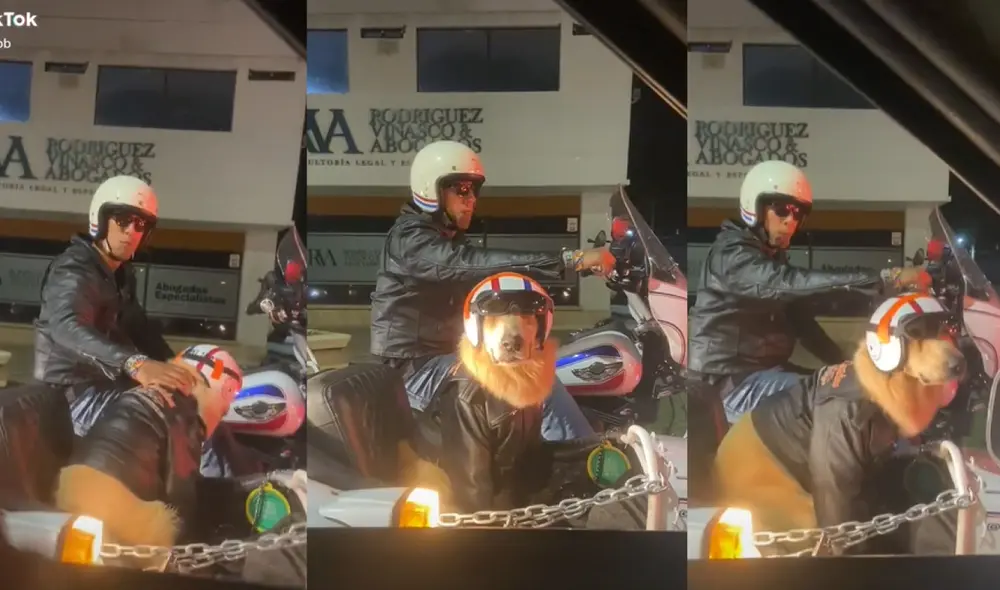 La dupla usó una vestimenta similar que se robó el corazón de miles de usuarios. Foto: captura de TikTok La dupla usó una vestimenta similar que se robó el corazón de miles de usuarios. Foto: captura de TikTok