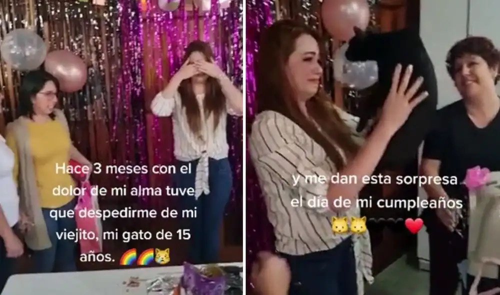 Miles de usuarios quedaron fascinados al conocer esta emotiva historia. Foto: captura de TikTok