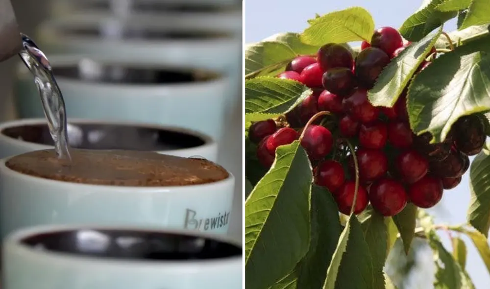 El café y las cerezas son 2 de los remedios que suelen ser efectivos contra el estreñimiento. Foto: composición EFE / AFP / La República