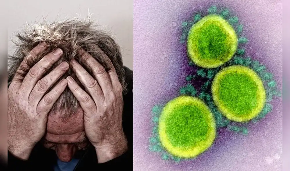 Desde los inicios de la pandemia, los científicos han propuesto que el coronavirus afecta al correcto funcionamiento cerebral. Foto: composición / Milenio / NIAID