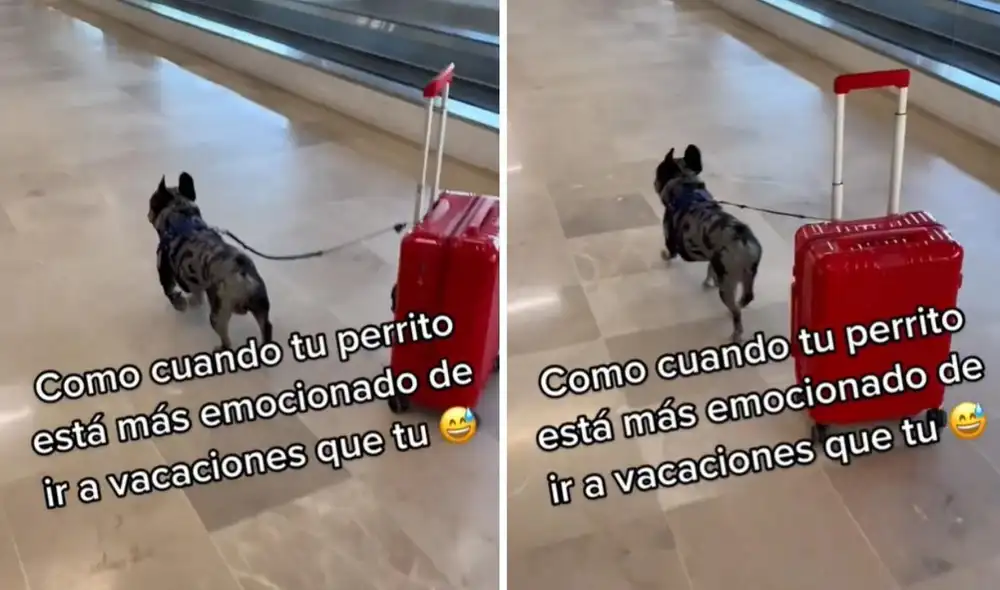 La publicación logró obtener más de 3 millones de reproducciones y miles de 'me gusta' en poco tiempo. Foto: captura de TikTok La publicación logró obtener más de 3 millones de reproducciones y miles de 'me gusta' en poco tiempo. Foto: captura de TikTok