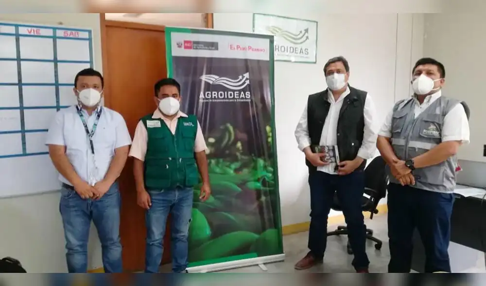 Pretenden mejorar economía de familias pobres. Foto: Agroideas Pretenden mejorar economía de familias pobres. Foto: Agroideas