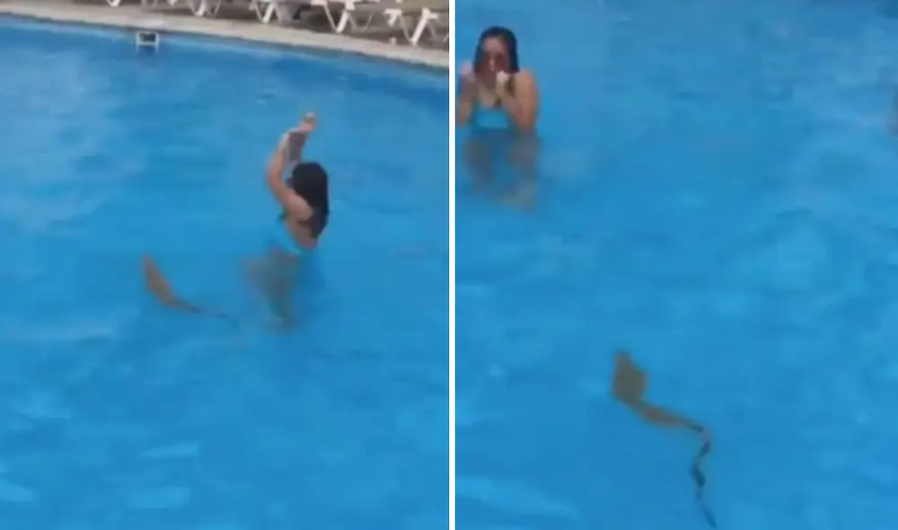 Las imágenes dejaron impactados a los usuarios de las redes sociales. Foto: captura de TikTok