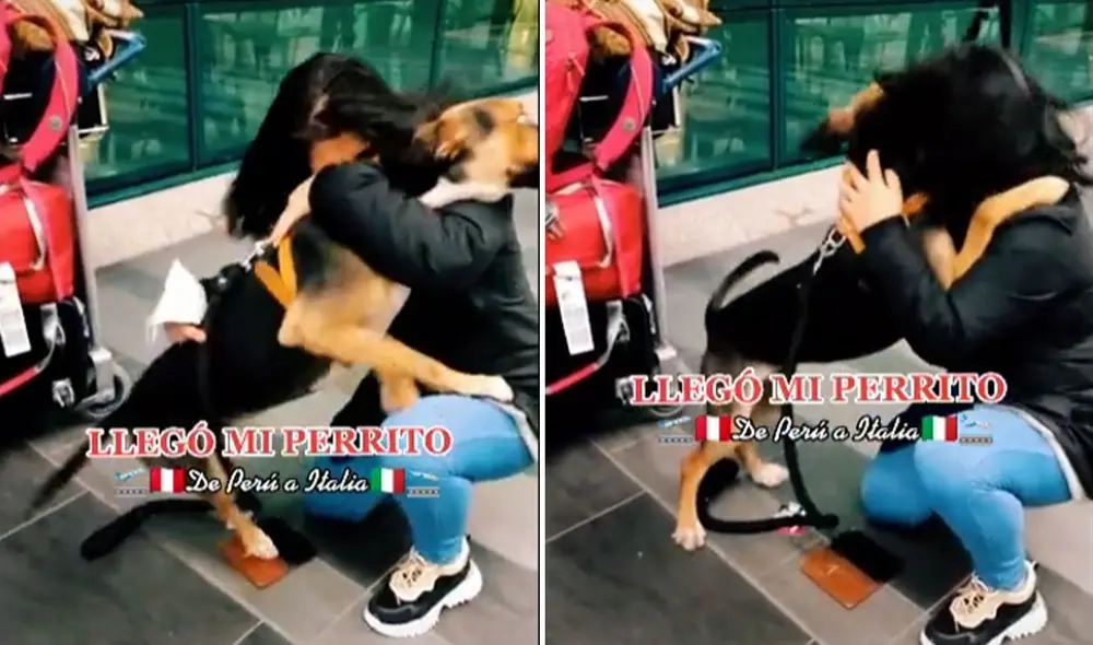 Miles de usuarios han quedado sumamente conmovidos al ver esta emotiva escena. Foto: captura de TikTok Miles de usuarios han quedado sumamente conmovidos al ver esta emotiva escena. Foto: captura de TikTok