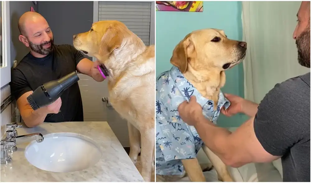 Joven muestra la rutina que hace su perrito antes de reunirse con su ‘amiga’ para una cita. Foto: captura de TikTok.