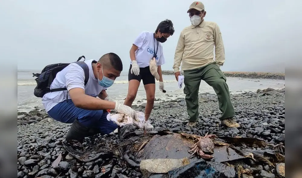 DAR. Foto: difusión