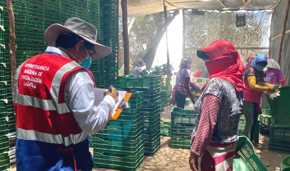 En esta nota te explicamos cómo denunciar incumplimientos laborales de una empresa privada. Foto: La República