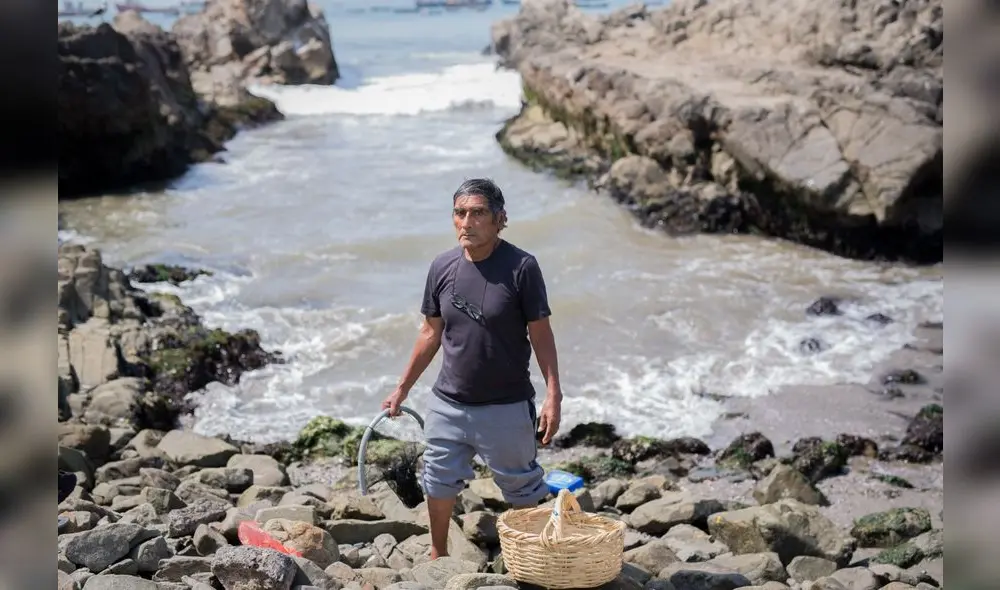 Pescador Raúl Fernández (64), extrae lornas y corvinillas de las peñas de Chancay desde hace 15 años. Ha perdido su único ingreso. Foto: Antonio Melgarejo. Pescador Raúl Fernández (64), extrae lornas y corvinillas de las peñas de Chancay desde hace 15 años. Ha perdido su único ingreso. Foto: Antonio Melgarejo.