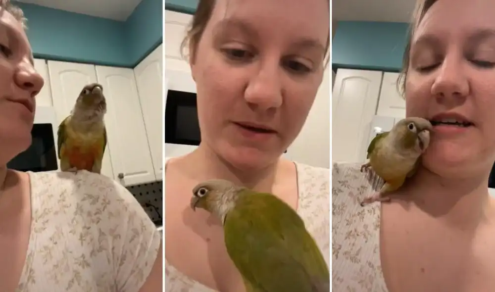 El baile del lorito se volvió popular en redes. El clip logró obtener más de 2,9 millones de reproducciones y 783.000 'me gusta'. Foto: captura de TikTok