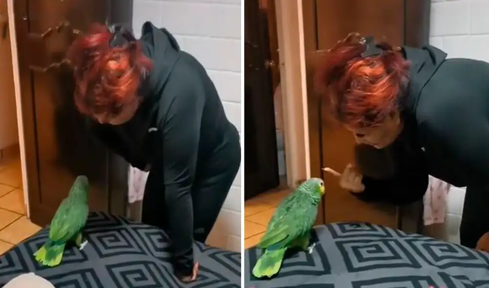 Una joven se quejó con su madre por el comportamiento de su traviesa ave, ya que trató de morderla durante su ausencia en casa. Foto: captura de Facebook