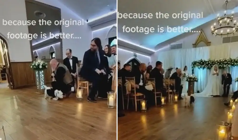 Miles de usuarios quedaron sumamente cautivados con esta tierna escena. Foto: captura de TikTok