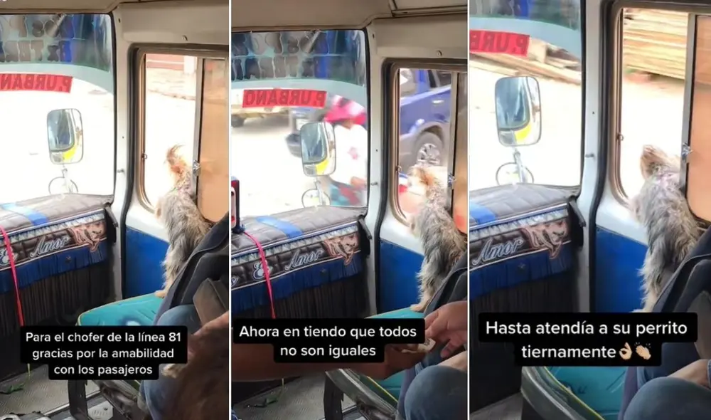 El clip publicado en redes logró obtener más de 200.000 reproducciones en poco tiempo. Foto: captura de TikTok