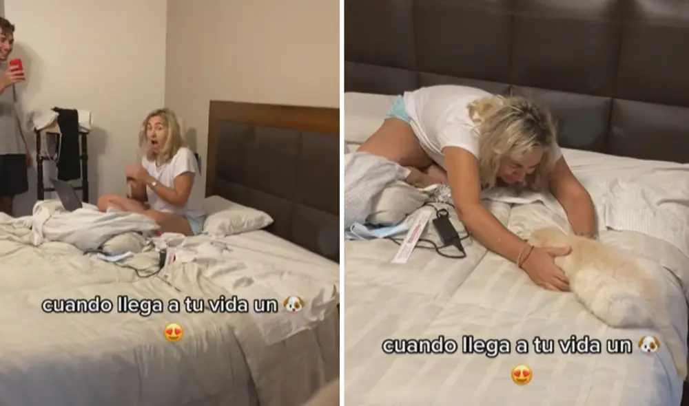 Miles de usuarios quedaron fascinados al ver esta tierna escena. Foto: captura de TikTok