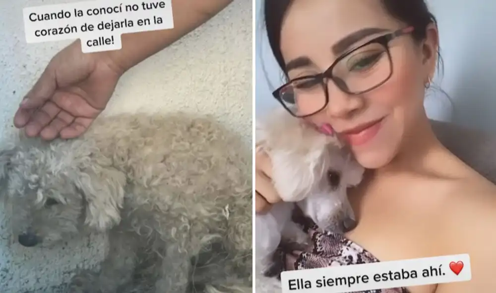 Esta tierna historia ya es viral en las redes sociales. Foto: captura de TikTok