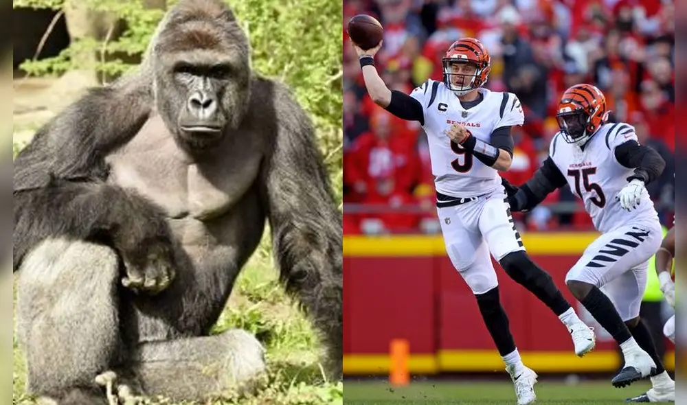 Cincinnati Bengals disputará su tercera final del Super Bowl. Fotos: AFP