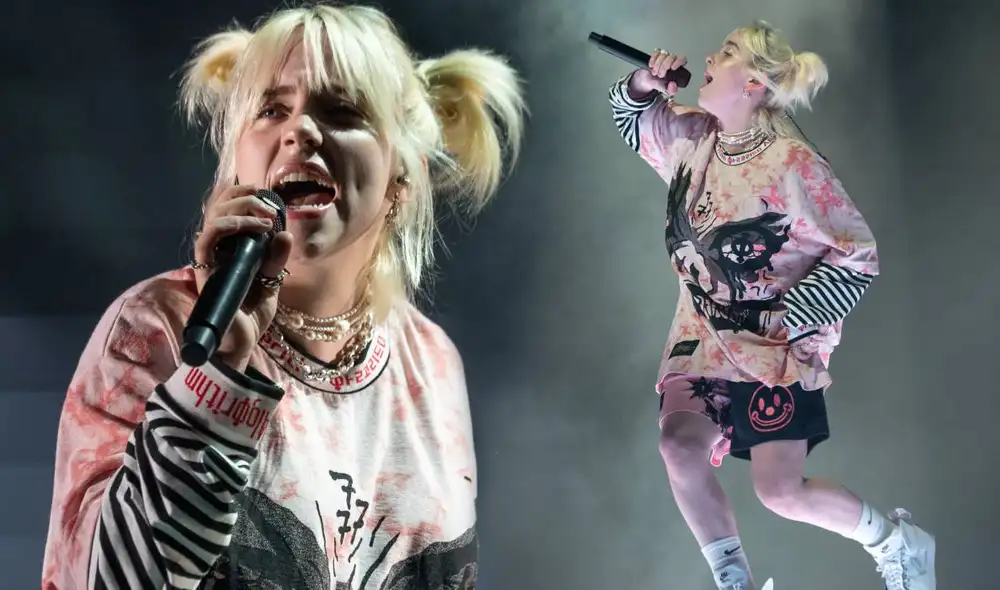 Billie Eilish se aseguró de que su fan recibiera la ayuda necesaria antes de continuar con su recital. Foto: AFP