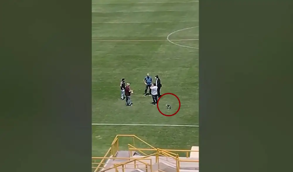 Foto: Captura Twitter Rosa María Muñoz Foto: Captura Twitter Rosa María Muñoz