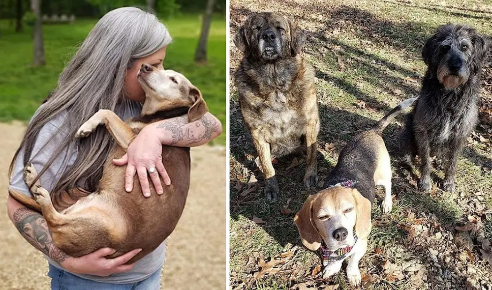Gracias a su buena labor, ella recibió el apoyo de especialistas y trabajadores para atender a los indefensos animales. Foto: Valerie Reid/ Facebook