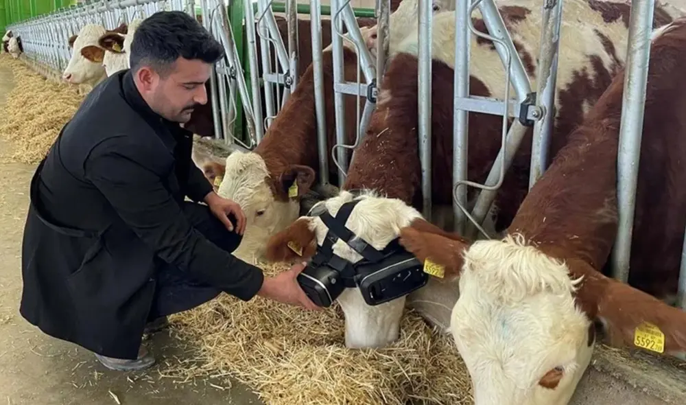 No es la primera vez que se utiliza esta técnica. Foto: Andro4all No es la primera vez que se utiliza esta técnica. Foto: Andro4all