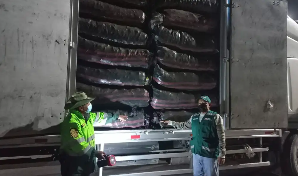 Durante el 2021, la ATFFS Lambayeque realizó el decomiso de más de 217 toneladas de carbón. Foto: Serfor
